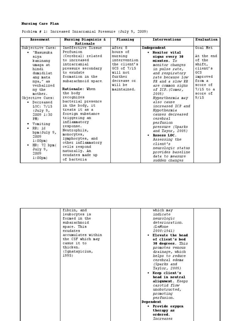 Nursing Care Plan Respiratory System Breathing