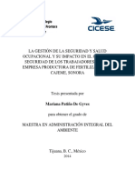 TESIS-Patiño-De-Gyves-Mariana.pdf