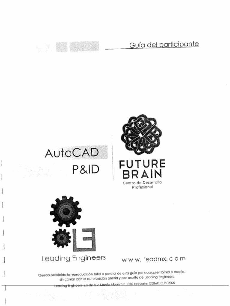 Manual Autocad P&ID | PDF