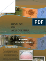 Biofloc PDF