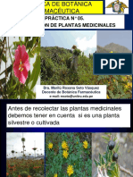 Semana_6_lab_clase de Práctica. Recolección de Plantas Medicinales