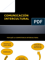 Comunicación Intercultural