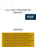 Anatomía y Fisiología Del Páncreas