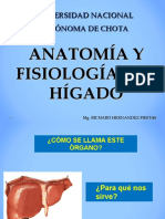 Anatomia y Fisiología Del Hígado