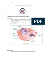 MICROBIOLOGIE - SUBIECTE - EXAMEN Rezolvate