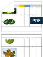 Clasificacion de Las Hojas Naturales 9.2