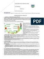 Morfofisiologia Humana Generalidades