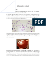 Clostridium tetani.pdf