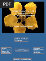 Origen de La Flor