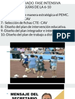 colegiado .pdf