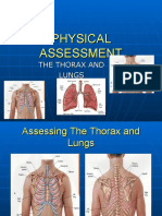 Thorax, Lungs