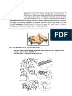 1° SESION 17 Clases Por ELY PDF