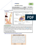 1° SESION 15 Clases Por Whatsapp PDF