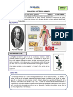 1° SESION 16 Clases Por W PDF