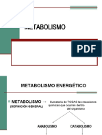 Metabolismo 2