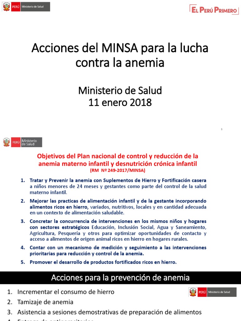 8.3 Acciones Del MINSA para La Lucha Contra La Anemia | PDF | Salud y ...