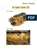 Apostila Injeção Eletrônica - Common Rail.  ENGINE C 6.6-1.pdf