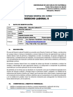 PROGRAMA DE CURSO (Derecho Laboral II) PDF