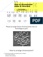 SY12202 Variation in Chromosome Number Structure
