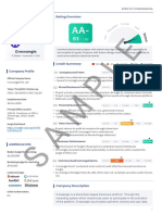 (Eng) SAMPLE Xangle Credit Rating PDF