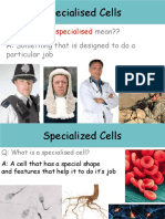 Specialised Cells