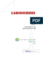 Salinan 171071840-Labioschisis PDF