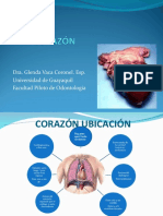 Corazón Generalidades