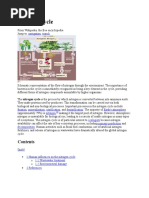 Download Nitrogen cycle by Erika Lia SN47367761 doc pdf