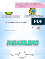 XXIV PARAXILENO Vale