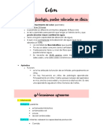 Anatomía y fisiología del colon: puntos clave en clínica