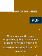 Flight of Geese
