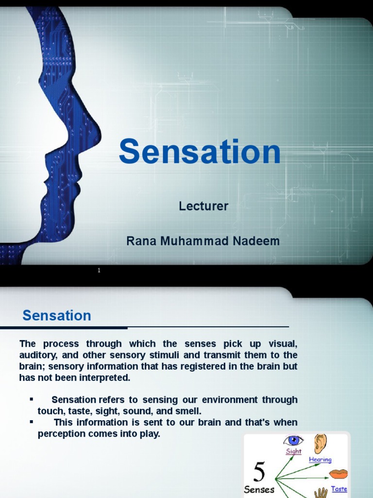 Understanding Human Sensation | PDF | Senses | Stimulus (Physiology)