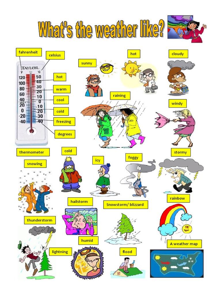 Weather Terms and Conditions Guide | PDF