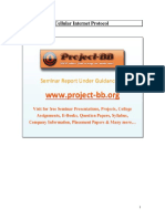 Cellular Internet Protocol PDF