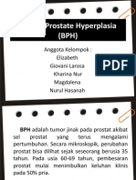 Benign Prostate Hyperplasia (BPH)