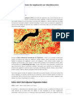 Análisis de Índices de Vegetación en Teledetección, Notas