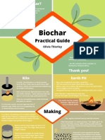 Biochar Practical Guide
