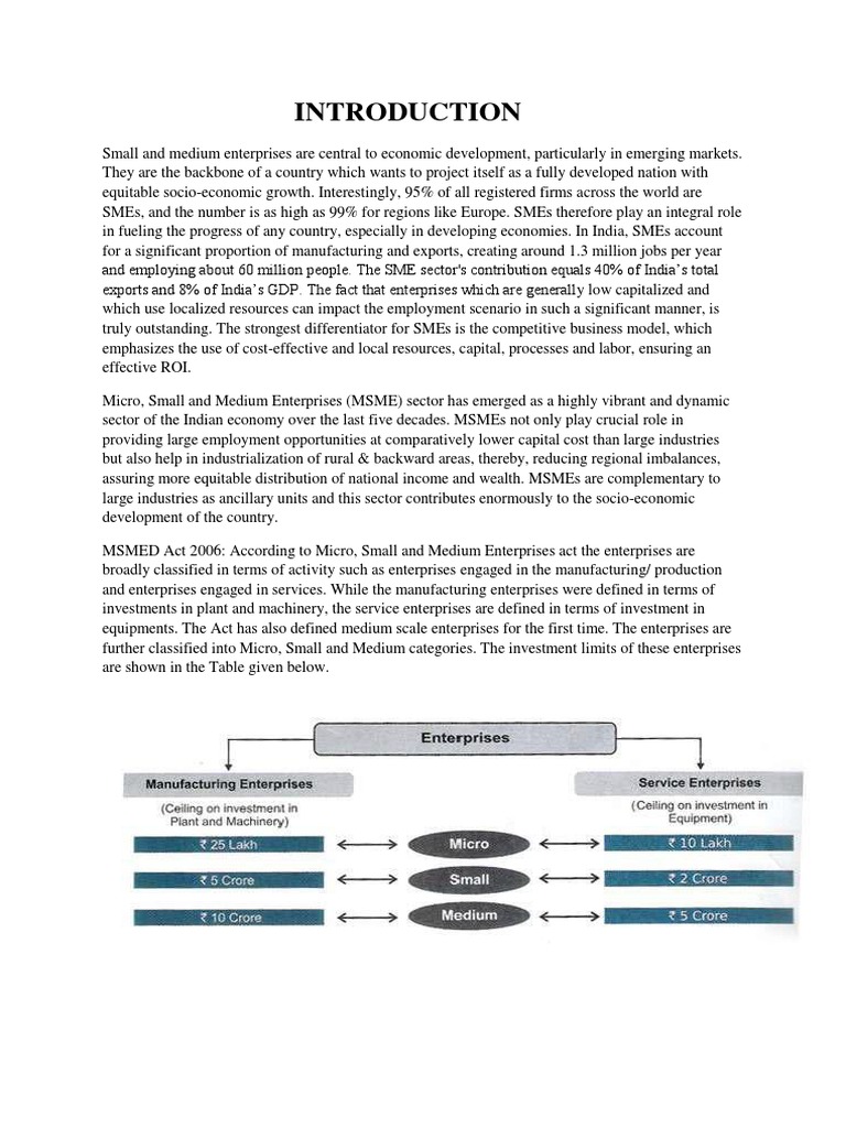 Role of MSMEs in India's Economy | PDF | Small And Medium Sized ...