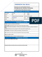 Ficha Personal Puente Huallaga Al 100% PDF