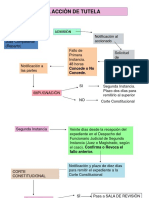 Procedimiento ACCIONES CONSTITUCIONALES