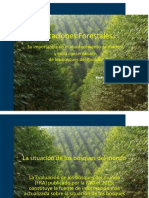 Plantaciones forestales.pdf