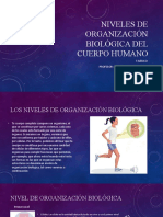 Niveles de Organización Biológica Del Cuerpo Humano