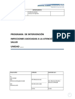 Formato Programa Intervencion Iih 2012 PDF