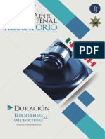 Informe - Prueba en El Proceso Penal Acusatorio