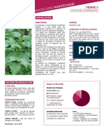 Fermoscopie Legumes Bio PDF