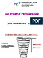 Os principais biomas terrestres e sua distribuição global