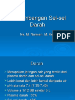 Perkembangan Sel-Sel Darah