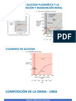 Fisiología Renal - Dover Clases-4