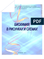 Biokhimia_v_risunkakh_1.pdf