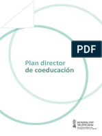 Pla Director de Coeducacion